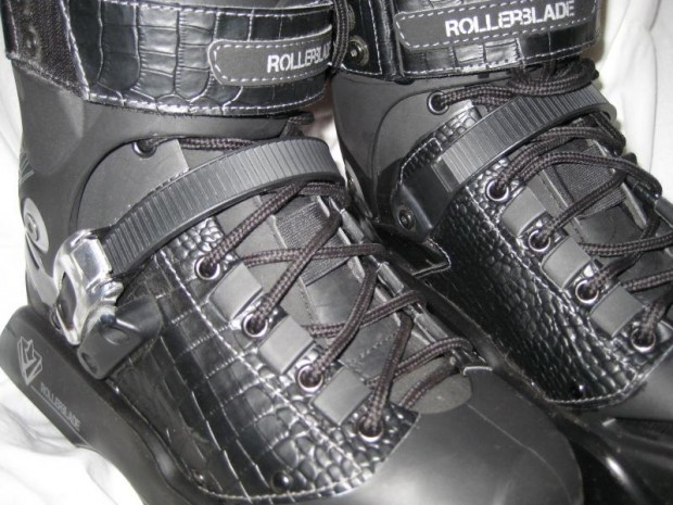 2010 Estilo L.E.