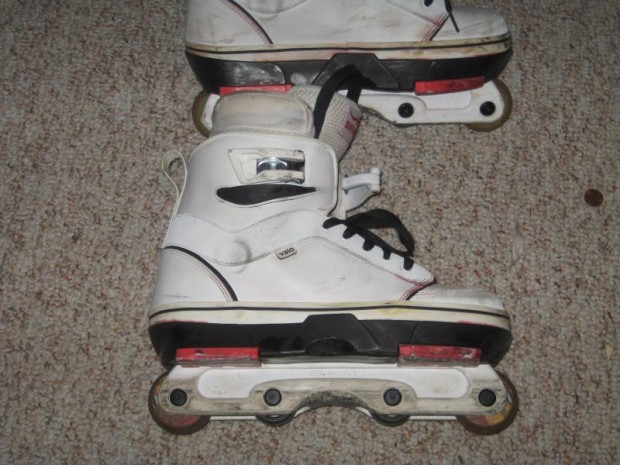 eb1 dye part