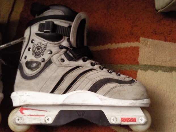 Deshi Ch1 Greywhite
