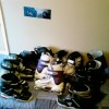 A horrible Bunch i dont use